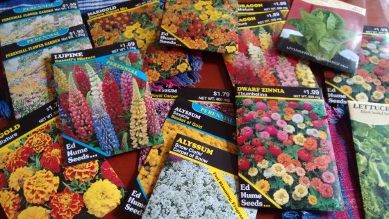 IMG_20160227_122111777