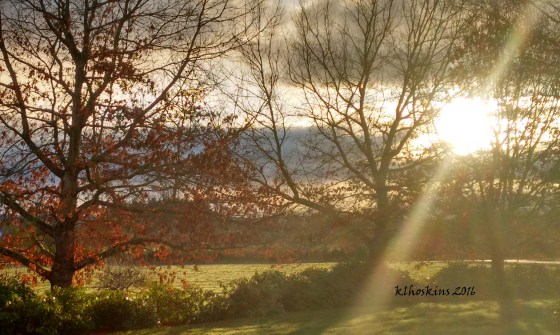 IMG_20160305_071956494_HDR