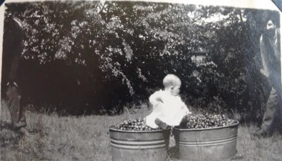 April 2016_baby Smith on tubs of crabapples_two men along sides
