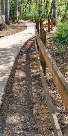 April 2016_walk along clackamas