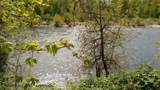 April 2016_walk along river