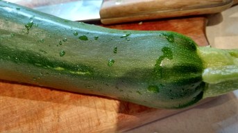 zucchini_july 2016 (2)