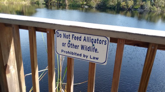 our-time-in-orlando_oct-2016-20