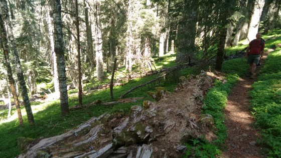 Marys Peak w Tyler and Brittany_May 2017 (4)