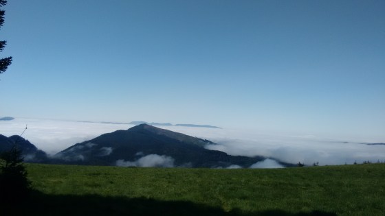 Marys Peak_1 (2)