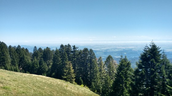 Marys Peak_2 (8)
