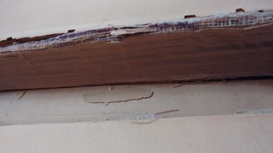 IMG_20170704_074754892