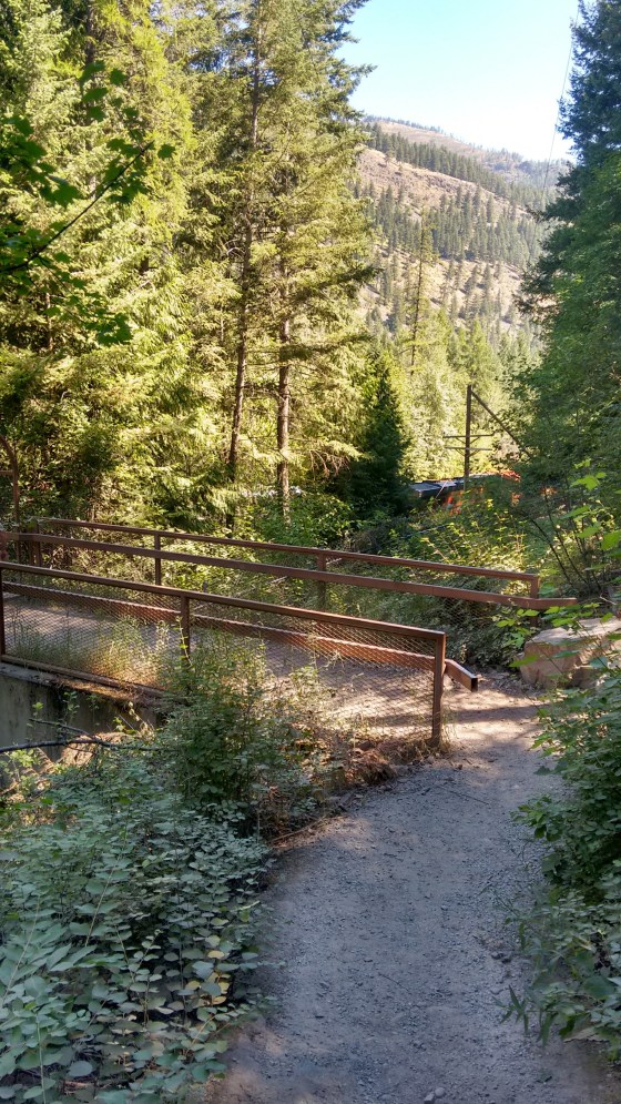 Kootenai River falls_swinging bridge (11)