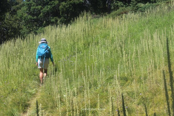 mt henry amy heading back down trail