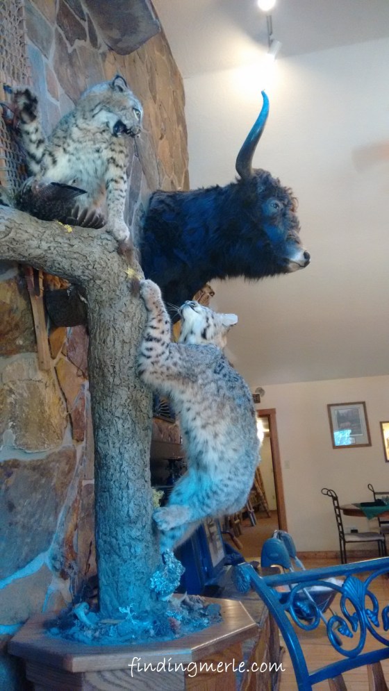 Yaak River Lodge_Yaak MT (36)