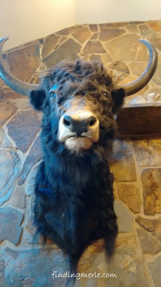 Yaak River Lodge_Yaak MT (38)