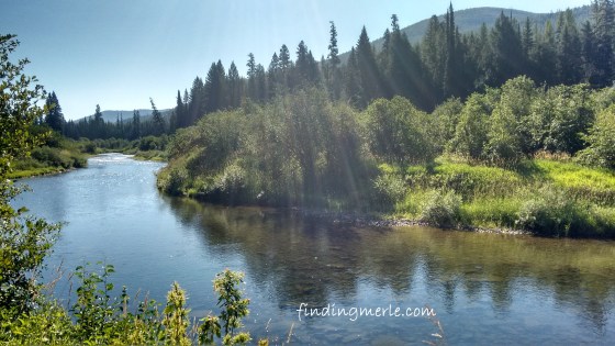 Yaak River_Yaak Montana July 2017