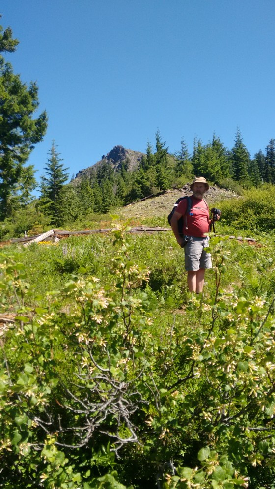 IMG_20170702_110651963