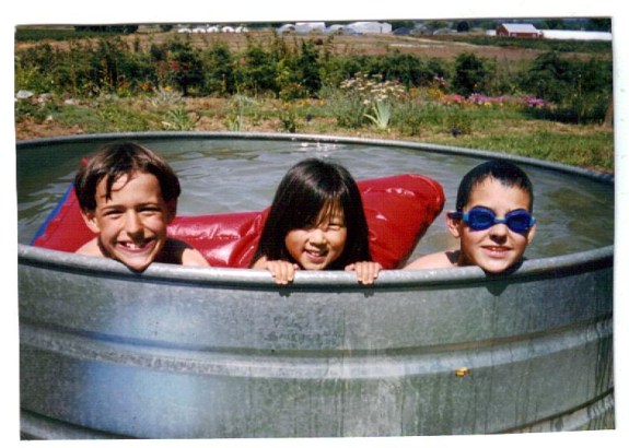 swimming-in-the-pool